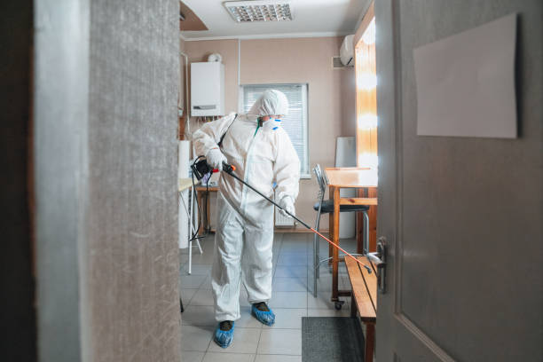 Best Indoor Air Quality Assessment  in Wayne, PA