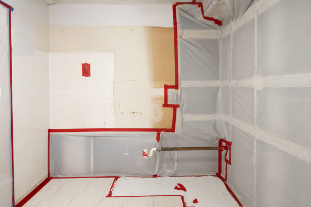 Best Mold Damage Restoration  in Wayne, PA