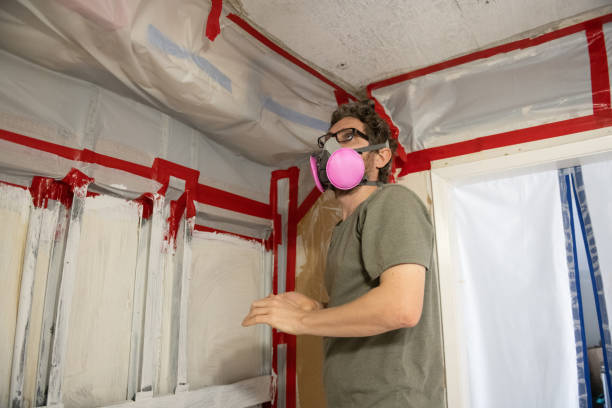 Reliable Wayne, PA Mold Removal Solutions