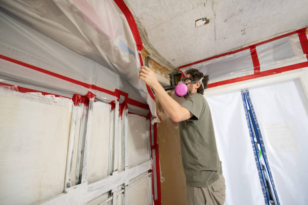 Best Water Damage & Mold Remediation  in Wayne, PA