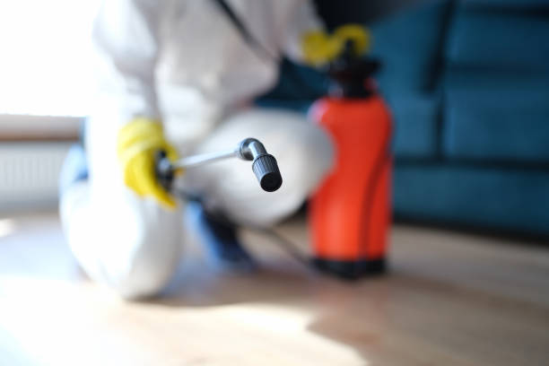 Mold Removal for HVAC Installations in Wayne, PA